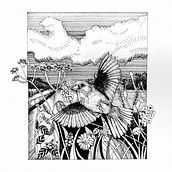 Mój projekt z kursu: Rysunki piórkiem i tuszem: przedstaw świat przyrody. Sketching, Drawing, Artistic Drawing, Sketchbook, Ink Illustration, and Naturalistic Illustration project by Weronika Anna Połtyn - 08.10.2022