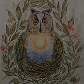 Il mio progetto del corso: Illustrazione surrealista ispirata alla natura Ein Projekt aus dem Bereich Traditionelle Illustration, Bleistiftzeichnung, Zeichnung, Artistische Zeichnung, Naturalistische Illustration und Zeichnen mit Buntstiften von Eugenia Carossa - 28.09.2022