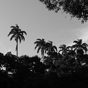 Uma tarde de domingo. Een project van Fotografie y Digitale fotografie van Rodrigo do Nascimento Adão - 25.07.2022