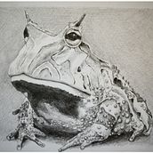Random drawing and sketching Ein Projekt aus dem Bereich Traditionelle Illustration von Luke Sinclair - 11.08.2022