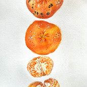 My project for course: Botanical Watercolor: Illustrating Art and Science. Un progetto di Illustrazione tradizionale, Belle arti, Pittura, Disegno, Pittura ad acquerello e Illustrazione botanica di Roberta - 11.08.2022