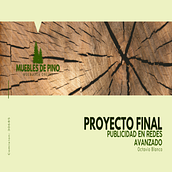 Proyecto Final Publicidad en Redes Avanzado. Marketing, Advertising, and Facebook Marketing project by Octavio Blanco - 08.11.2022