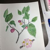 My project for course: Illustrating Nature with Watercolor and Pen. Traditional illustration, Fine Arts, Painting, Drawing, Watercolor Painting, and Botanical Illustration project by Tom - 08.11.2022