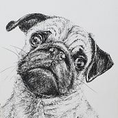 My project for course: Naturalist Illustration with Ballpoint Pen . Traditional illustration, Drawing, Realistic Drawing, and Naturalistic Illustration project by tamarch1312 - 08.11.2022