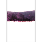 SF on film. Fotografia, e Paisagismo projeto de oscar_dlc_98 - 10.04.2020