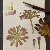 Mon projet du cours : Aquarelle botanique : illustrez l’anatomie des fleurs. Botanical Illustration, Traditional illustration, Fine Arts, Painting, Drawing, and Watercolor Painting project by Aurélie Feuvrier - 08.12.2022