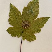 My project for course: Extraordinary Embroidery: Explore Alternative Organic Materials. Embroider, and Textile Design project by Franziska - 08.12.2022