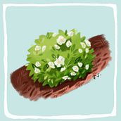 Daily Practice. Traditional illustration project by asmalldelightsoflife - 08.14.2022