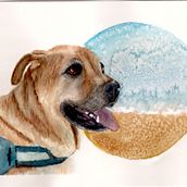 Mi proyecto del curso: Retratos expresivos de animales en acuarela. Traditional illustration, Watercolor Painting, Realistic Drawing, and Naturalistic Illustration project by mei_ml - 08.01.2022