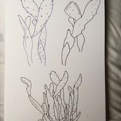 Kaveri's project for course: Botanical Sketchbooking: A Meditative Approach. Traditional illustration, Sketching, Drawing, Watercolor Painting, Botanical Illustration, and Sketchbook project by Kaveri Mehrotra - 08.15.2022