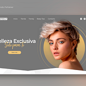 PASARELA Professional - Website UI Ein Projekt aus dem Bereich UX / UI von Fernando Miguel Penalver - 20.07.2020