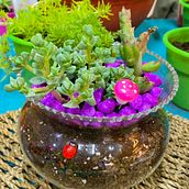 Mi proyecto del curso: Arte vegetal: crea tu propio terrario abierto. Interior Design, L, scape Architecture, Decoration, DIY, Floral, and Plant Design project by marce.orrego.e - 08.15.2022