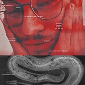 AANIMales . Design, Creativit, Photograph, and Graphic Design project by Aitor Santana - 08.15.2022