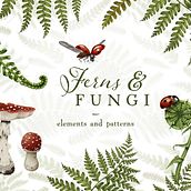 Ferns & Fungi. Traditional illustration project by Audrey Lauriston - 08.04.2022