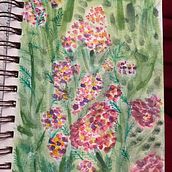 yarrow. Un progetto di Pittura ad acquerello di Lilly Knoepp - 17.08.2022