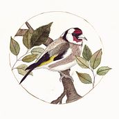 My project for course: Watercolor with Filigree and Metallic Details. Un progetto di Illustrazione tradizionale, Pittura, Pittura ad acquerello, Illustrazione botanica, Illustrazione naturalistica e Pittura decorativa di Trisha Morris - 17.08.2022