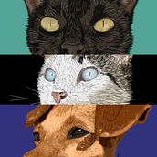 Pets  . % Katherine Canary tarafından hazırlanan Geleneksel illüstras, Ve on projesi - 08.17.2022