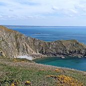 Créer des illustrations décoratives pour meubler les murs d'une maison. Un projet de Peinture, Peinture décorative , et Aquarelle de lulu_menais - 18.08.2022