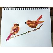 My project for course: Artistic Watercolor Techniques for Illustrating Birds. Traditional illustration, Watercolor Painting, Realistic Drawing, and Naturalistic Illustration project by nancyaustin192 - 08.18.2022