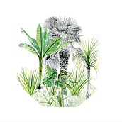 ARCHIPIÉLAGOS NATURALES DE LA CIUDAD DE MÉXICO . Drawing, Watercolor Painting, and Traditional illustration project by Mariana Castillo - 08.18.2022