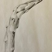 Graphite pencil. Fine Arts project by gigi_rocks - 08.18.2022