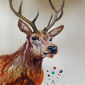 My project for course: Expressive Animal Portraits in Watercolor. Traditional illustration, Watercolor Painting, Realistic Drawing, and Naturalistic Illustration project by herringa05 - 08.18.2022