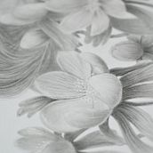 Winter Aconite Portrait. Desenho a lápis, Desenho, Desenho artístico e Ilustração naturalista projeto de Lena - 19.08.2022