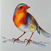Little Red Robin . Un proyecto de Ilustración tradicional de Marianne Noiman - 19.08.2022
