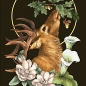 My project for course: Natural Illustration with Digital Painting. Projekt z dziedziny Trad, c, jna ilustracja,  R, sunek, Ilustracja c, frowa, R, sunek realist, czn, Malarstwo c, frowe, Ilustracja naturalist i czna użytkownika Sandra Meyer - 19.08.2022