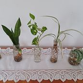 My project for course: Home Styling and Decoration with Plants. Un projet de Design d'interaction, Décoration, Décoration d'intérieur, DIY, Art floral et végétal , et Design d'espace de Maria Moreno - 21.08.2022