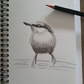 Birds. Projekt z dziedziny Kreat, wność, Malowanie akwarelą,  R i sunek użytkownika L. Grev - 21.08.2022