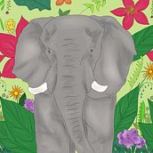 Wildlife - Mongabay Kids. Traditional illustration, Digital Illustration, and Education project by Maria Angeles Salazar Rustarazo - 08.22.2022
