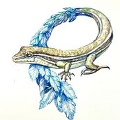 My project for course: Surrealist Illustration Inspired by Nature. Ilustração tradicional, Desenho a lápis, Desenho, Desenho artístico, Ilustração naturalista, e Desenho com lápis de cor projeto de Pat - 22.08.2022