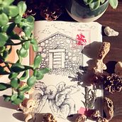 Sketches of botany, plants, nature, journeys. Un proyecto de Ilustración tradicional, Ilustración botánica y Sketchbook de bambamoh - 22.08.2022