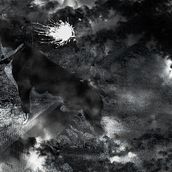 Xanco. Photograph, Photograph, Post-production, Photo Retouching, Fine-Art Photograph, and Photomontage project by luziavlor - 09.21.2019