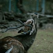 Mi proyecto del curso: Fotografía de paisaje y naturaleza . Fotografi, Fotografi Luar Ruang, Fotografi Instagram, Fotografi Dokumenter, Dan Komposisi Fotografi proyek oleh Núria Torrent Calderón - 08.24.2022