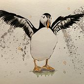 Mon projet du cours : Aquarelles naturalistes expressives avec du caractère - Macareux moine. Traditional illustration, Watercolor Painting, and Naturalistic Illustration project by Virginie Boivin - 08.17.2022