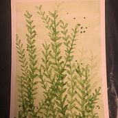 Mi proyecto del curso: Técnicas modernas de acuarela. Traditional illustration, Fine Arts, Painting, and Watercolor Painting project by dificilymas - 08.25.2022
