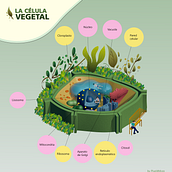 Mi proyecto del curso: Introducción a la infografía ilustrada. Information Design, Interactive Design & Infographics project by Diego Maldonado - 08.24.2022