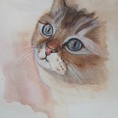 My project for course: Expressive Animal Portraits in Watercolor. Un progetto di Illustrazione tradizionale, Pittura ad acquerello, Disegno realistico e Illustrazione naturalistica di Sameera Vurity - 21.08.2022