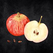 My project for course: Botanical Watercolor: Illustrating Art and Science. Projekt z dziedziny Trad, c, jna ilustracja,  Sztuki piękne,  Malarstwo,  R, sunek, Malowanie akwarelą, R i sunek botaniczn użytkownika Sally Garner - 25.08.2022