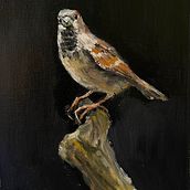 My project for course: Classical Oil Painting for Naturalist Bird Portraiture. Un proyecto de Bellas Artes, Pintura, Pintura al óleo e Ilustración naturalista				 de a.k.soe - 26.08.2022