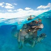 Dracoeqine Mother and calf. Un projet de Illustration traditionnelle , et 3D de Glen Southern - 26.08.2022