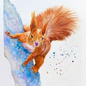 My project for course: Expressive Animal Portraits in Watercolor. Un projet de Illustration traditionnelle, Aquarelle, Dessin réaliste et Illustration naturaliste de Ann Yip - 18.08.2022