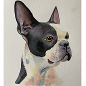 My project for course: Expressive Animal Portraits in Watercolor. Projekt z dziedziny Trad, c, jna ilustracja, Malowanie akwarelą, R, sunek realist, czn, Ilustracja naturalist i czna użytkownika Geordie Jones - 27.08.2022