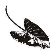 Bestiario Solar. Un progetto di Illustrazione tradizionale e Serigrafia di Mauricio Lara Carvajal - 01.11.2021