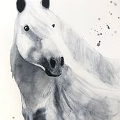 Horse in monocrome. Ilustração tradicional projeto de Eva Kadar - 30.08.2022