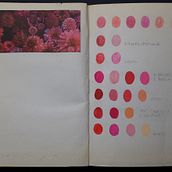 Project: Technieken om kleurpaletten te definiëren: ontdek je kleurenuniversum Ein Projekt aus dem Bereich Traditionelle Illustration, Malerei, Zeichnung, Artistische Zeichnung und Farbenlehre von Laleña De Ridder - 30.08.2022