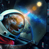 Homenaje a Laika. Photograph, Photograph, Post-production, VFX, Photo Retouching, Fine-Art Photograph, Photographic Composition, and Photomontage project by le_andres7 - 08.30.2022
