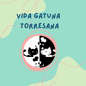Mi proyecto del curso: Creación de una estrategia visual para redes sociales. Un progetto di Br, ing, Br, identit, Social media, Mobile marketing, Instagram, Comunicazione e Marketing per Instagram di Carmen Cordero Hazim - 31.08.2022
